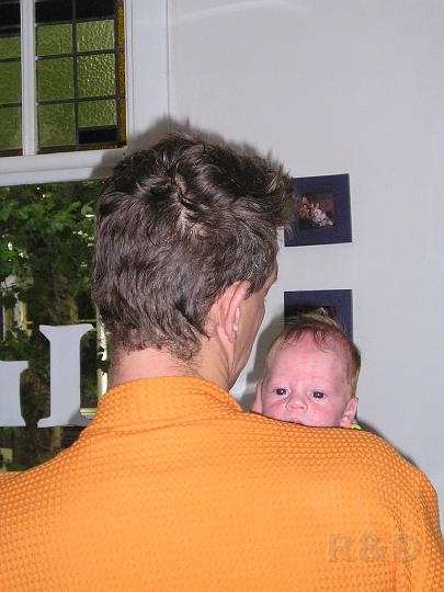 Imme 7 augustus 2006 (3).JPG